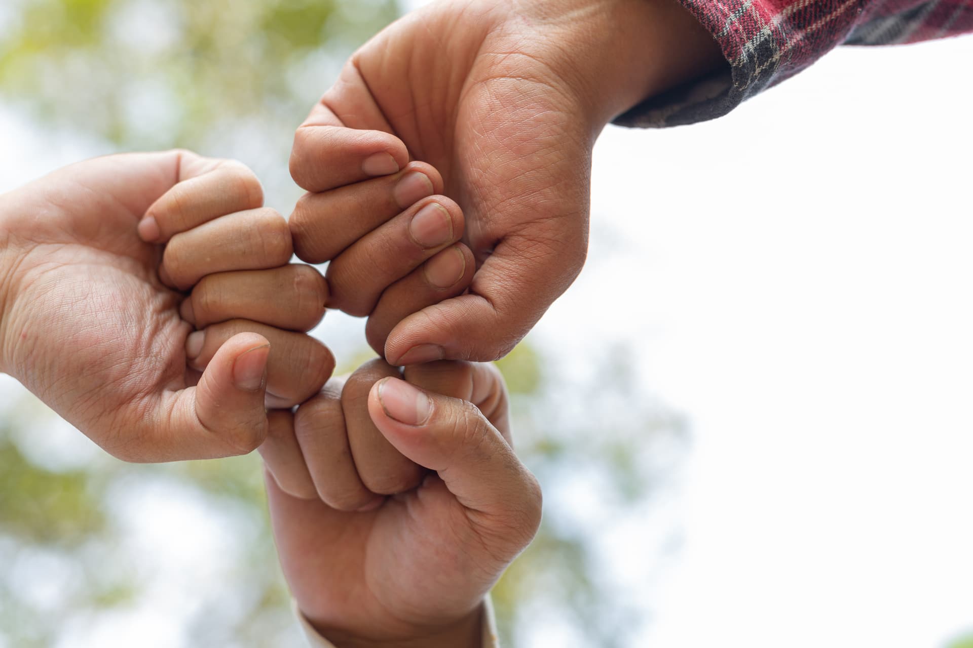 Hands nurturing a young seedling
